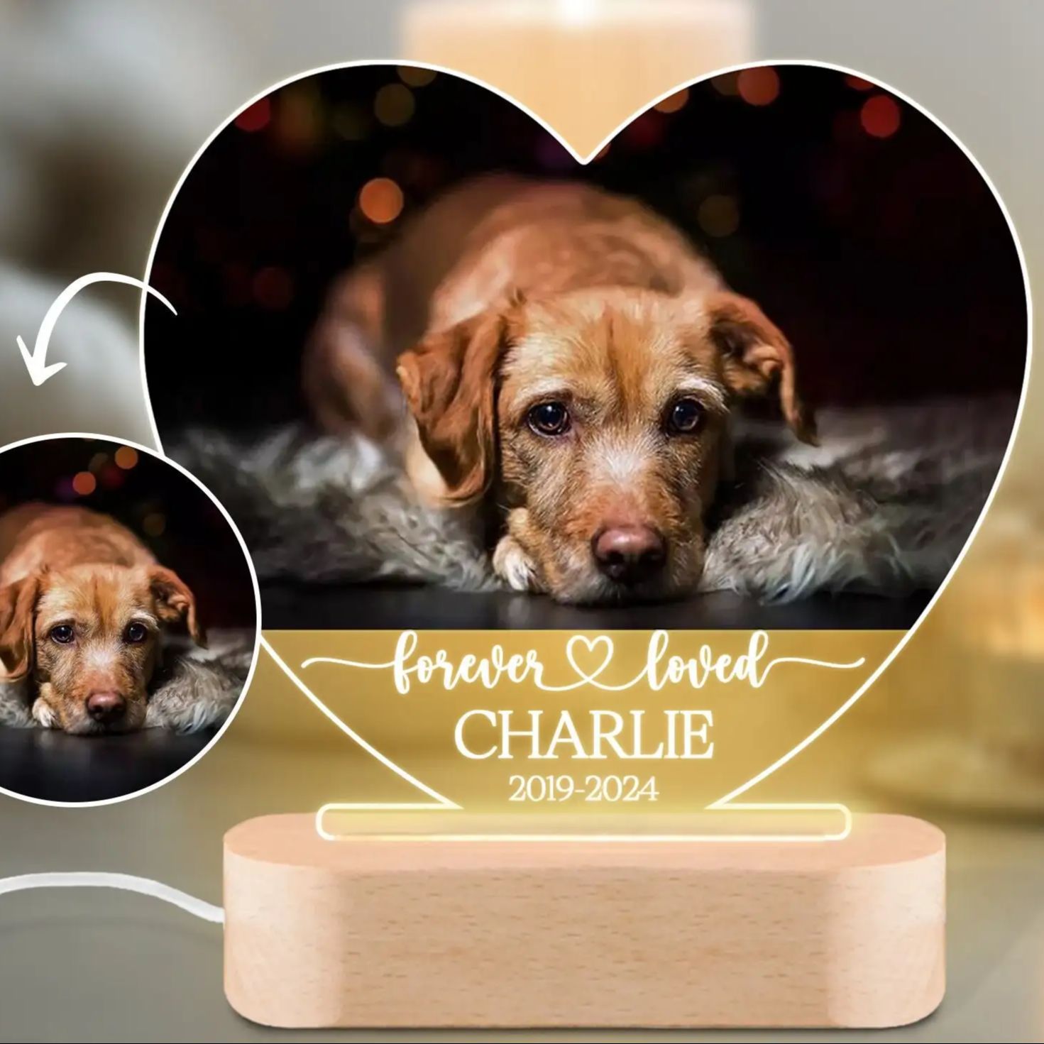 Custom Dog Photo Night Light P - Pet Portrait Custom ulasan dan harga