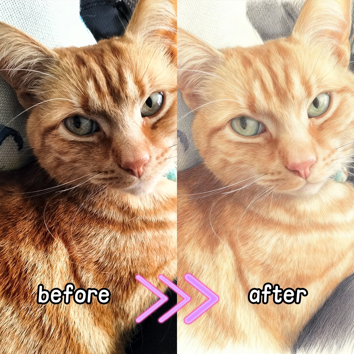 Personalized Custom Colored Pe - Pet Portrait Custom ulasan dan harga