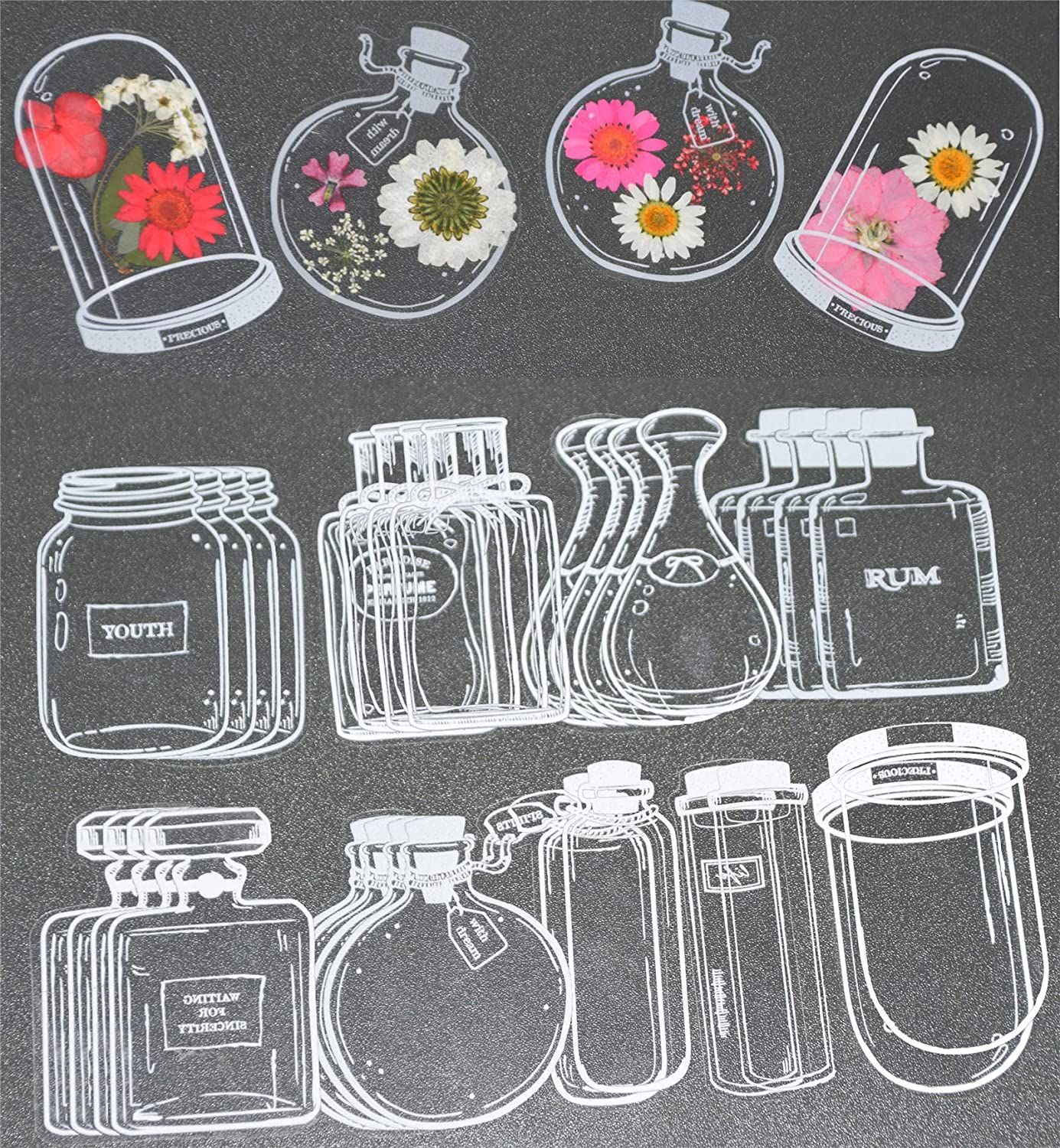 30Pcs Transparent Dried Flower - Dried Flower Bookmark ulasan dan harga